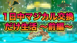 【検証】1日中マジカル交換だけ生活をしたら激レア色違いが大量すぎたww 〜 前編（午後3時まで） 〜【冠の雪原/ポケモン剣盾有料DLC】