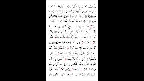 سورة التغابن من المصحف المرتل برواية البزي عن ابن كثير بصوت القارئ عمرو محمد