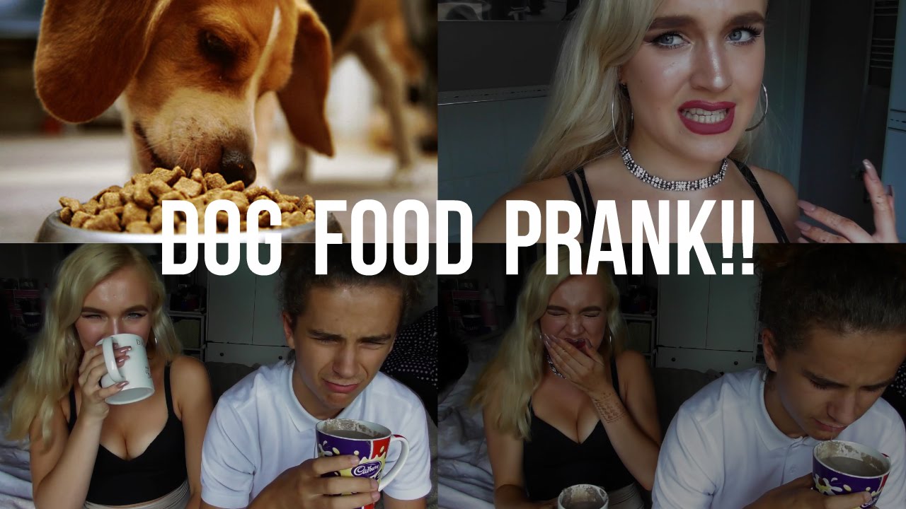 GROSS DOG FOOD PRANK ON BOYFRIEND!! YouTube