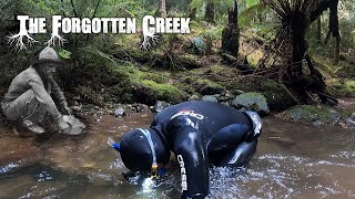 Returning to the forgotten creek full of GOLD!!