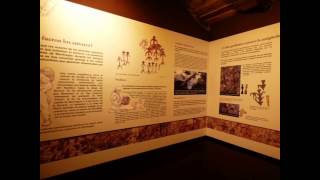 Centro de Arte Rupestre de Monfragüe-Torrejón el Rubio