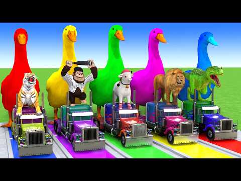 5 GIANT DUCKS and Friends Cross the Famous Fountain in EPIC Animation #812