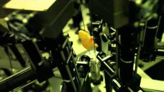 Le développement de radiopharmaceutiques
