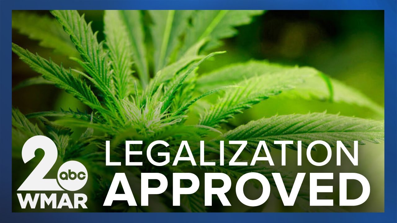 Maryland voters approved cannabis legalization, here's how they're reacting