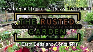 How to Plant Tomato Transplants in Containers & in the Ground and How Direct Sow Tomato Seeds