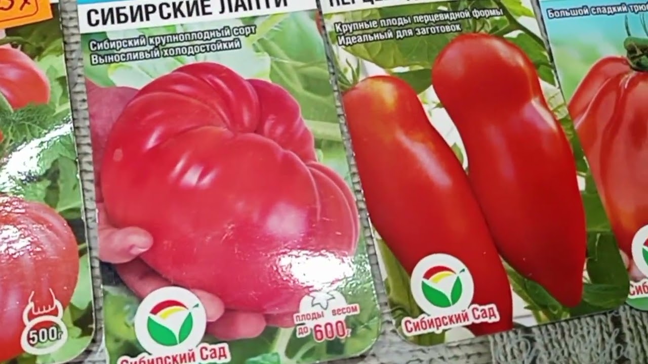 Фикс прайс, рынок, детский мир.