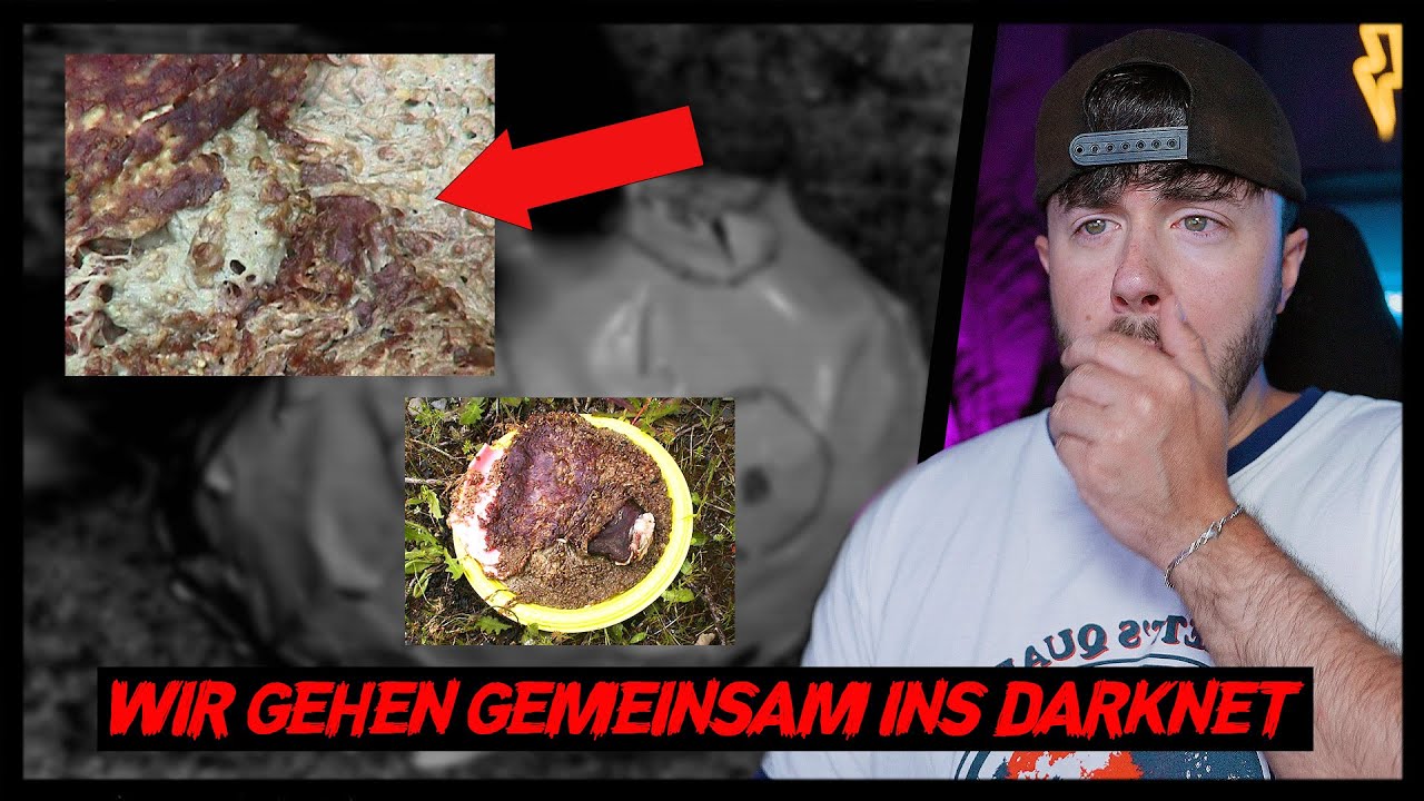Darknet drugs germany