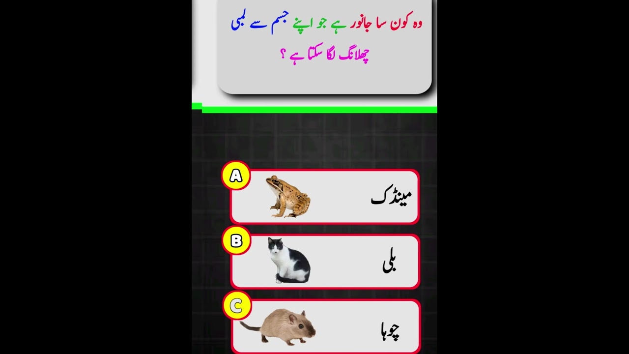 Which animal can jump long | Long jump animal | jump master animal