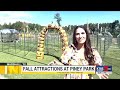 Fall Attractions At Piney Park