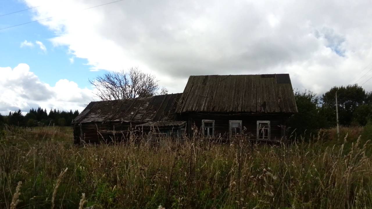 Заброшенная деревня Белозерский район
