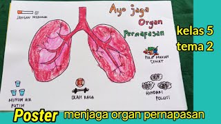 poster menjaga kesehatan organ pernapasan tugas kelas 5 tema 2