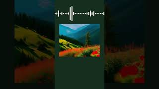 Download Lagu Tumhare_Hi_Rahenge_Hum​ #rajkummarrao​#stree2​#saregamamusic​ #varunjain​#shilprarao​ #sachinjigar​ MP3