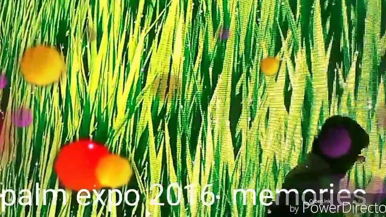 manori  boys visit to palm  expo  2016