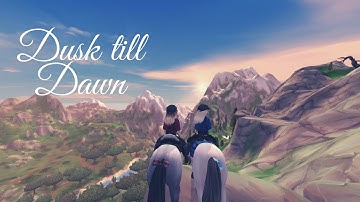 Dusk till dawn (SSO music video)