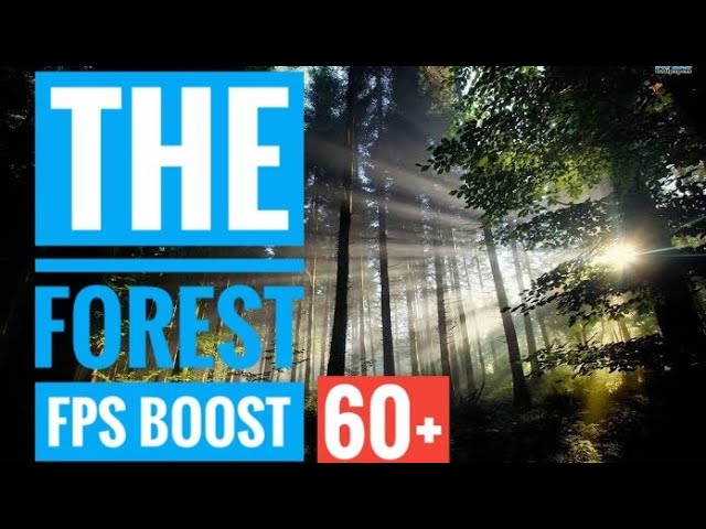 Sons Of The Forest ○ How To Use Console Commands 