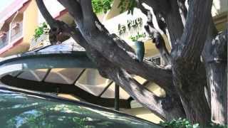 르 파크 스위트 호텔