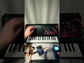 MS-20 patching #synth #ms20 #fuzz #sounddesign #noise #texture #ambience #synthpatcher