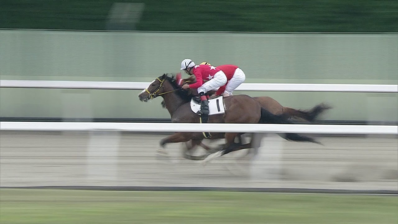 マトチャンネル】的場文男騎手 7136勝目（5/28 浦和3R） - YouTube