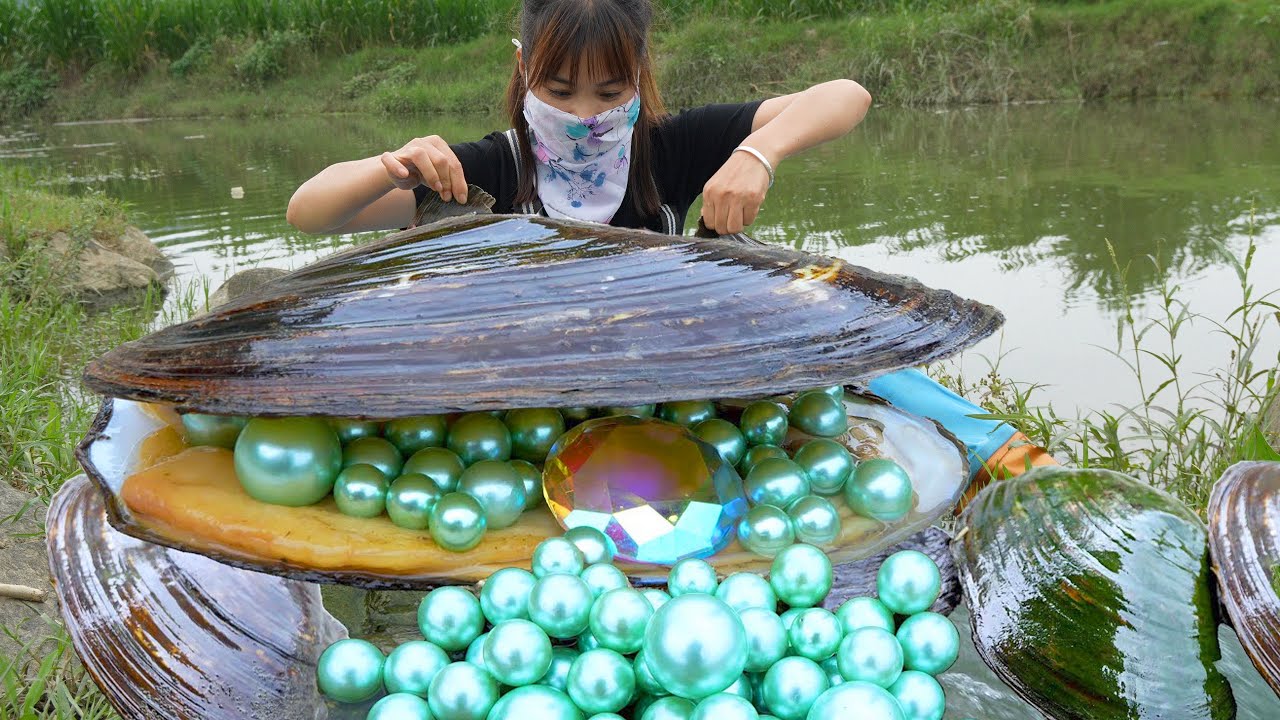 🐚🐚 Clam’s Legacy: The Day a Girl’s Simple Paddle Became a Plunge into Pearl-Studded History!