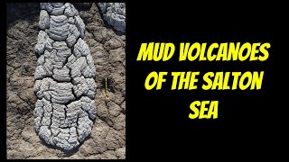 Mud volcanoes of the Salton Sea
