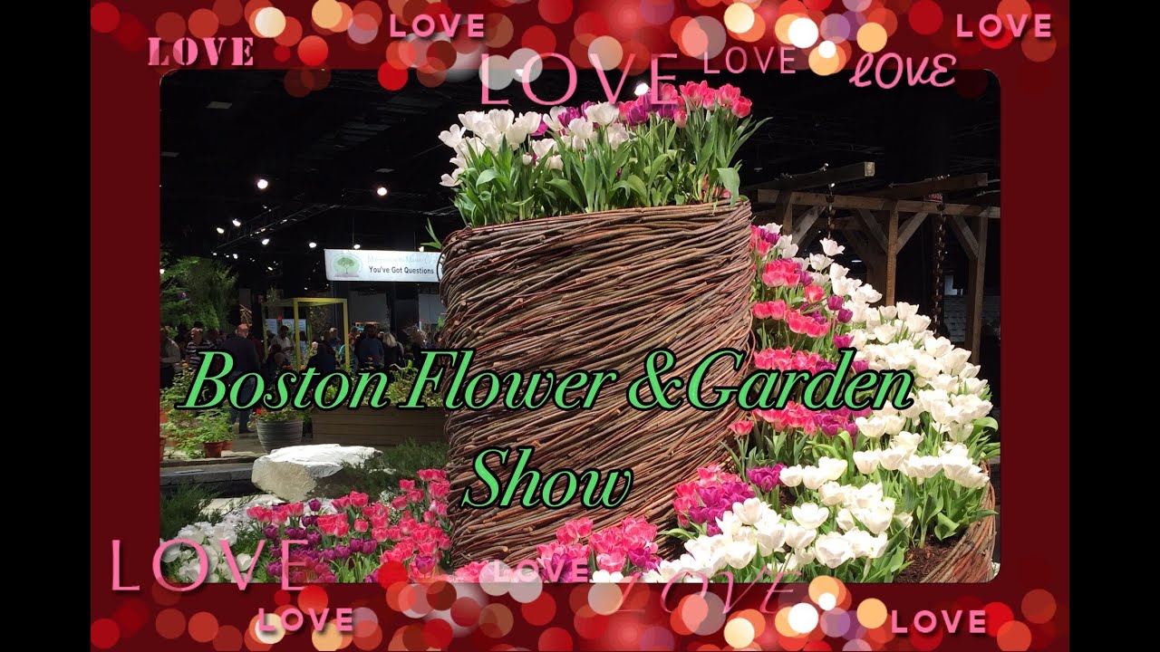 Boston Flower & Garden Show/Выставка цветов (Бостон США) YouTube