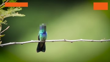 Against All Logic - Alucinao (feat. ESTADO UNIDO & FKA Twigs) [Music Video]