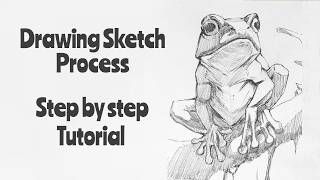 How to draw a frog | Pencil sketch tutorial