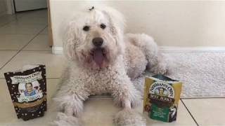 Paul Newman Grass Fed Beef Jerky Dog & Peanut Butter Dog Biscuits Ananda Taste Test