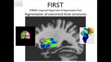 8. Segmentation: Subcortical Brain Structures and FIRST (Struc E2)