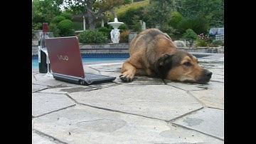 Remote Pair Programming Using SSH Screen Vim and Skype