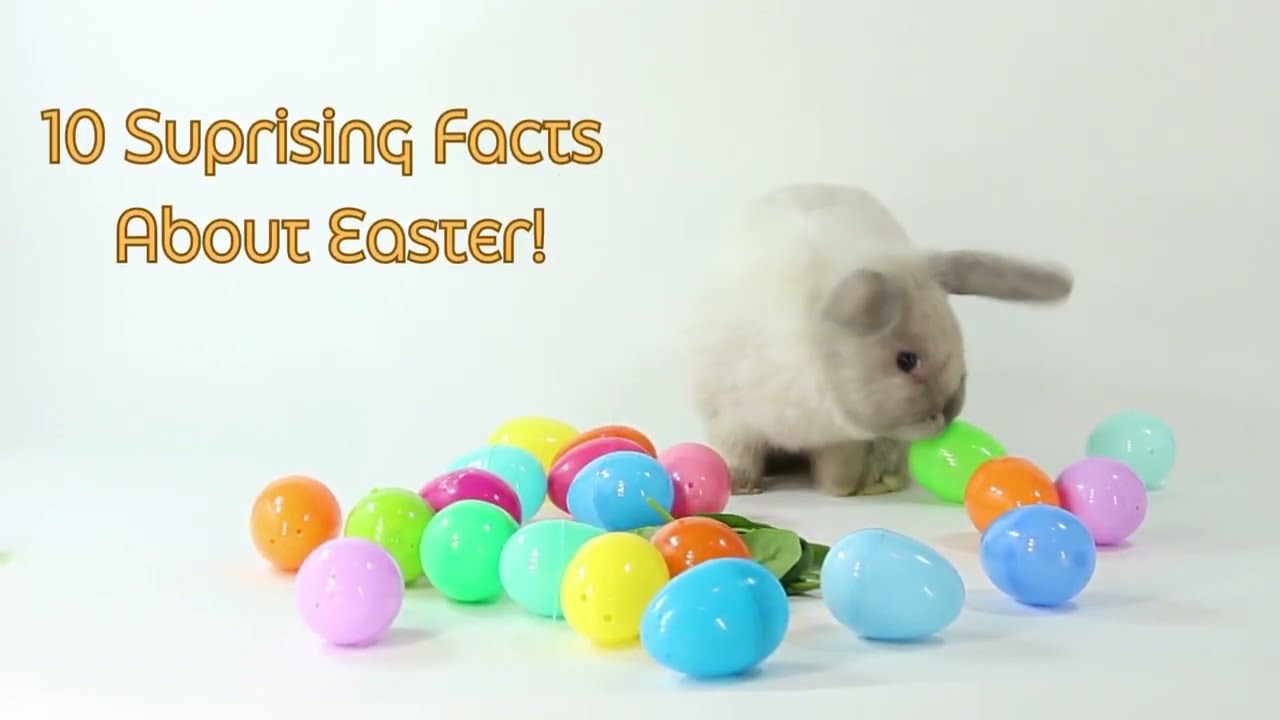 Hop into the fascinating Easter facts and discover the hidden secrets of this egg-citing holiday!