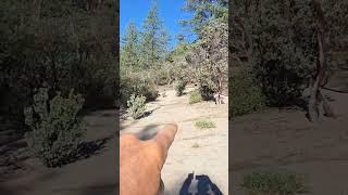 Idyllwild Campground On The Pct 2026