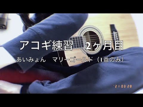 アコギ練習2ヶ月目　マリーゴールド弾いてみた