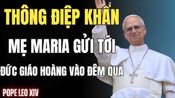 Đức Mẹ Maria gửi thông điệp khẩn cấp tới Đức Giáo Hoàng Leo XIV — Điều gì sẽ xảy ra vào năm 2026!