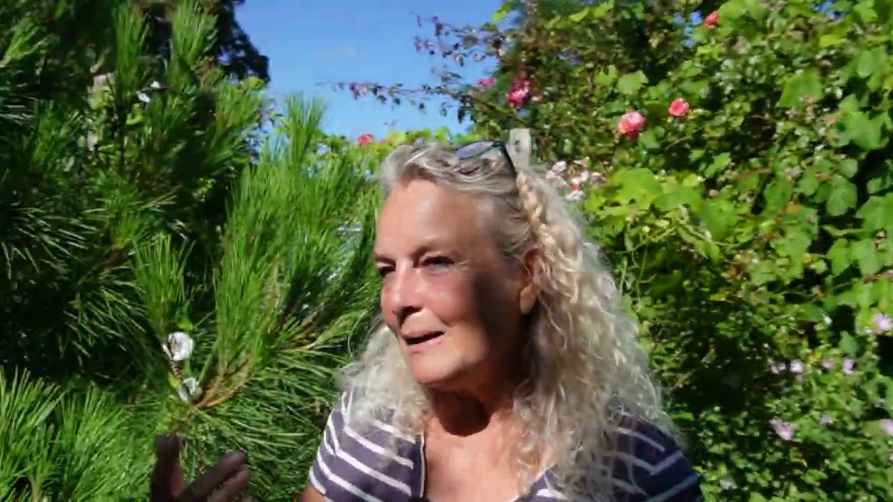 Relax - Nothing is Under Control :) Food Forest Tour Late August. Nordic Permaculture