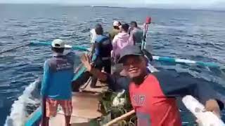 Download lagu Hasil tangkapan pukat payang Bengkulu ikan bawal hitam