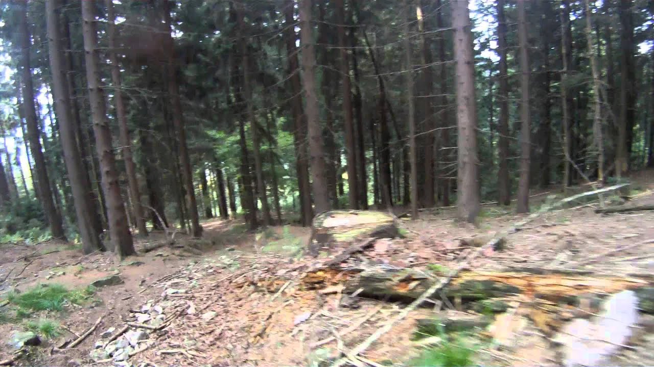 Rusel&Geißkopf-Trails: Wanderweg 1a nach Greising