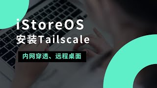 在软路由/iStoreOS上安装Tailscale实现内网穿透、异地组网、远程访问,点对点传输,更好的使用体验,超稳定!轻松打通内外网!群晖、威联通NAS,替代zerotier#一瓶奶油