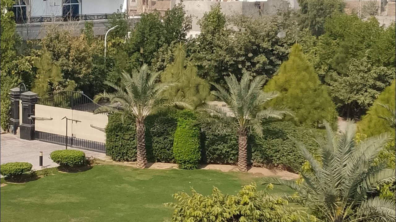 Nightlife Buzz, Midnight Magic💕❣️