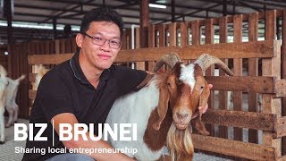 Inside Bruneis Biggest Goat Farm Brugoat