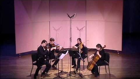 Dvorak - String Quartet No. 12 "American" - IV. Finale: Vivace ma non troppo
