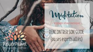 Méditation Voyage guidé : Rencontrer son Esprit Allié