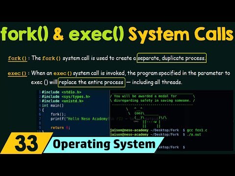 fork() and exec() System Calls