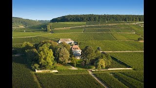 Louis Latour - An outstanding domaine