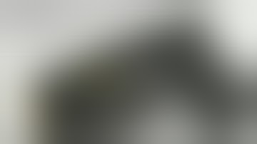 Multi-function waterproof stun gun