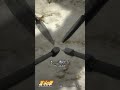 #ショート動画百裂拳 065＃shorts Hokuto 065