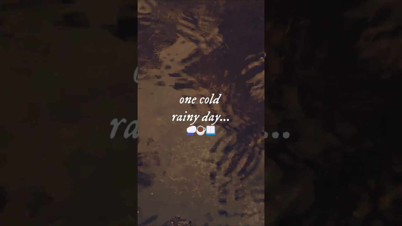 a cold rainy day reading vlog 🌧️☕