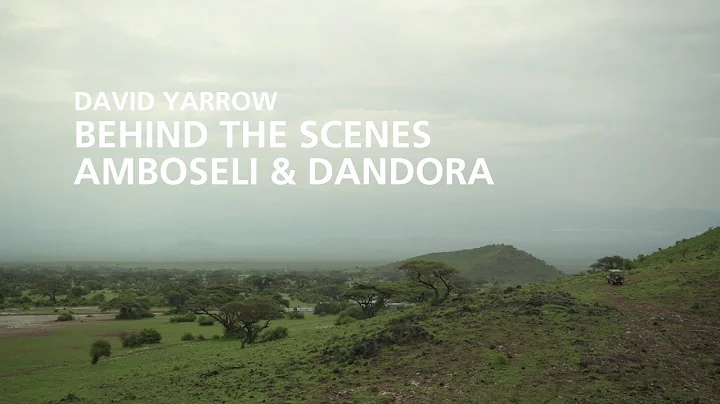 Behind the scenes: David Yarrow's 'Amboseli & Dand...