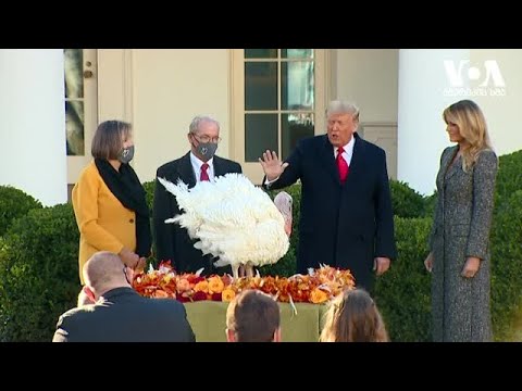 მსოფლიოს მასშტაბით კოვიდ-19-ით ინფიცირების და გარდაცვალების შემტხვევები მატულობს