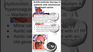 Antithrombotic therapy in patients with mechanical heart valves